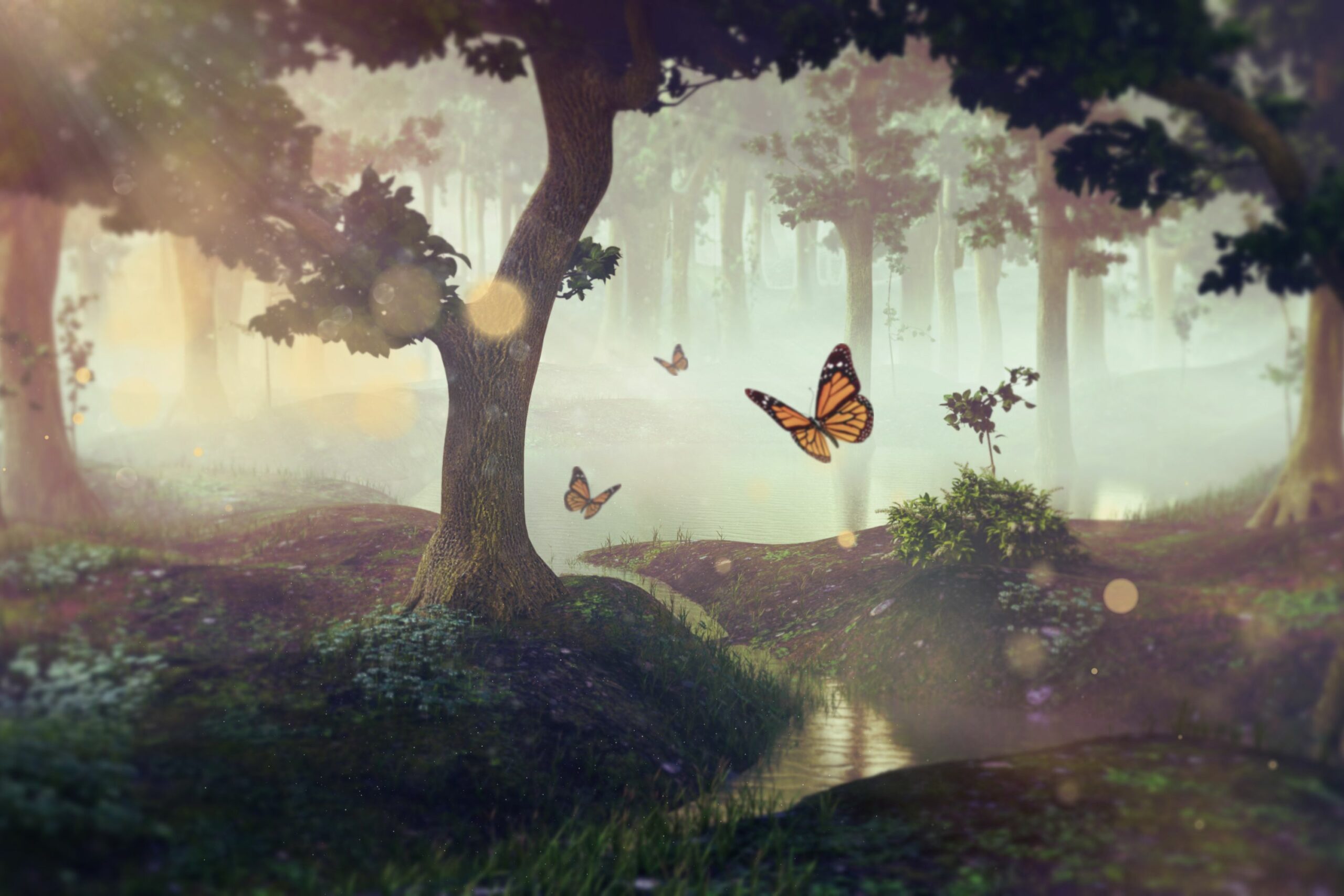 Three orange butterflies in a magical forest, alluding to the spiritual symbolism of butterflies