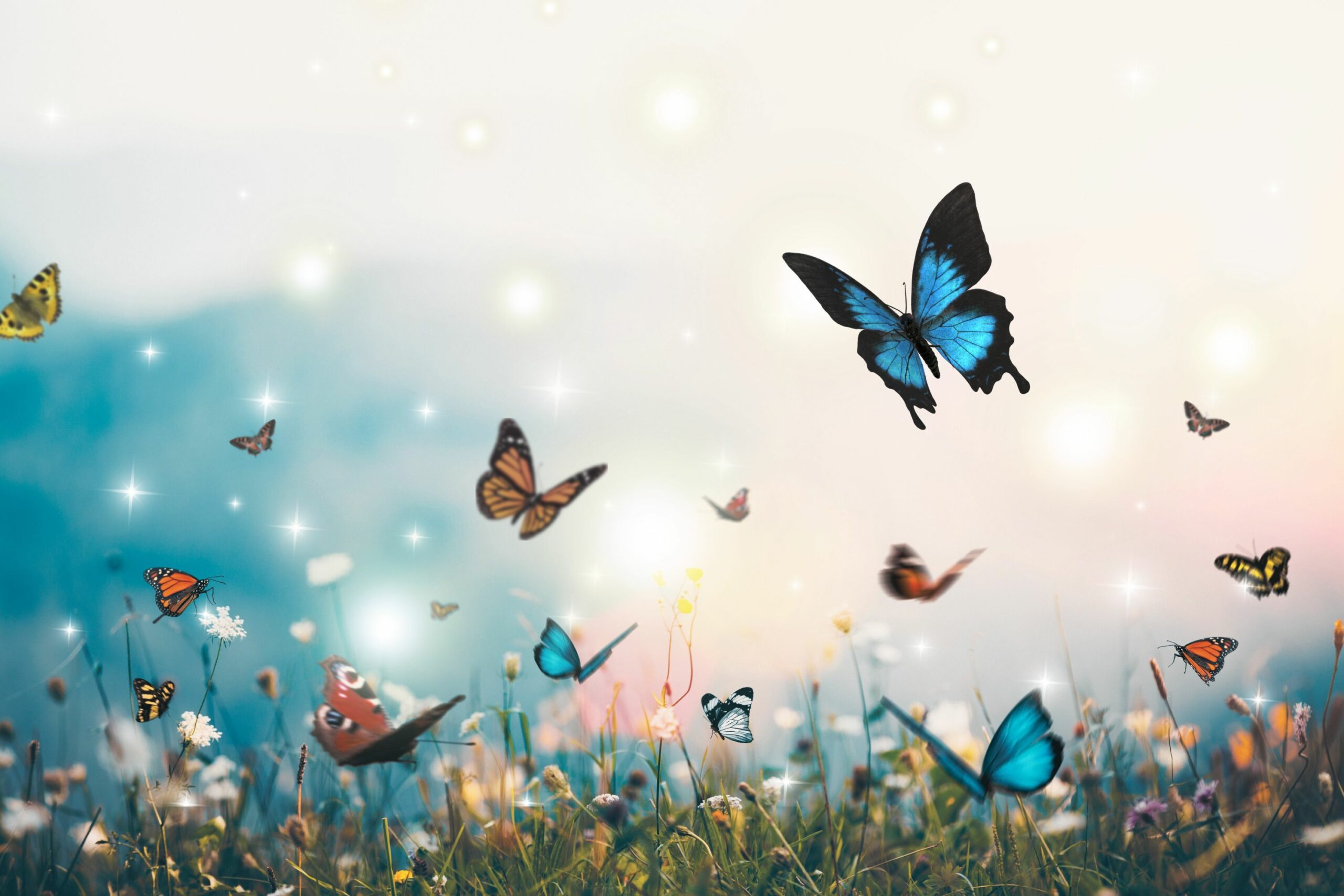 What Do Butterflies Symbolize? The Complete Guide to the Spiritual Meaning of Butterflies 1